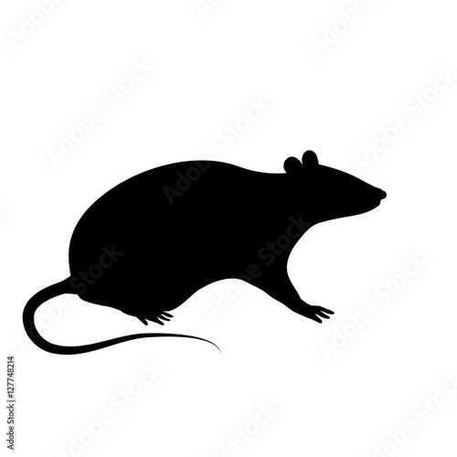 Silhouette of the rat or mouse is sitting on a white background