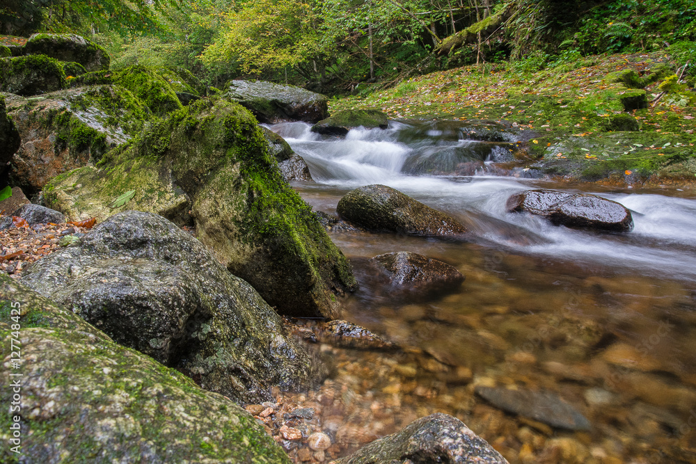 Wanderung durch die Buchberger Leite Wanderung durch die Buchberger Leite