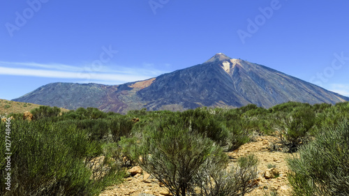 Parc National du Teide 