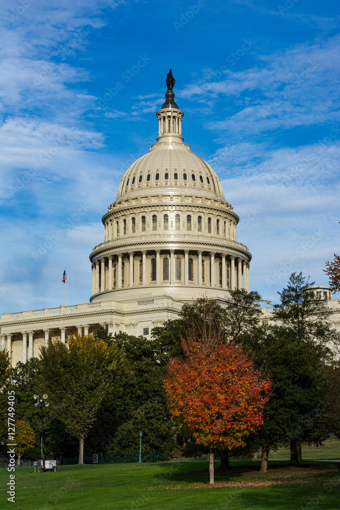 Obraz premium US Capitol Buiding Washington DC Dome Detail Closeup Alone Dayli