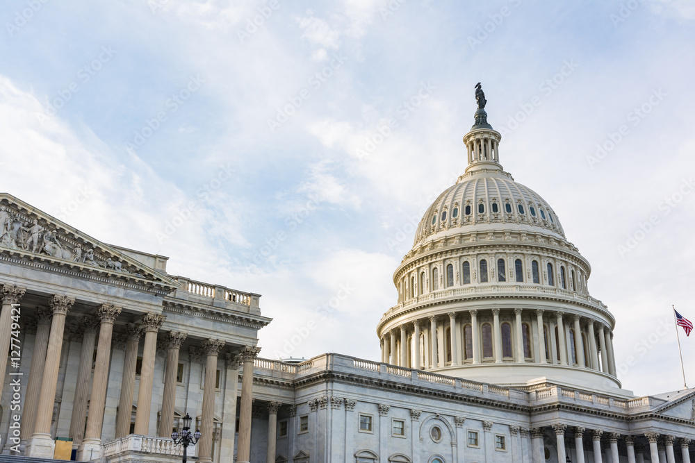 Naklejka premium US Capitol Buiding Washington DC Dome Detail Closeup Alone Dayli