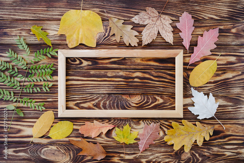 Autumn composition of colorful leaves and picture frame on wooden background. Top view, flat lay, copy space. Thanksgiving day concept.
