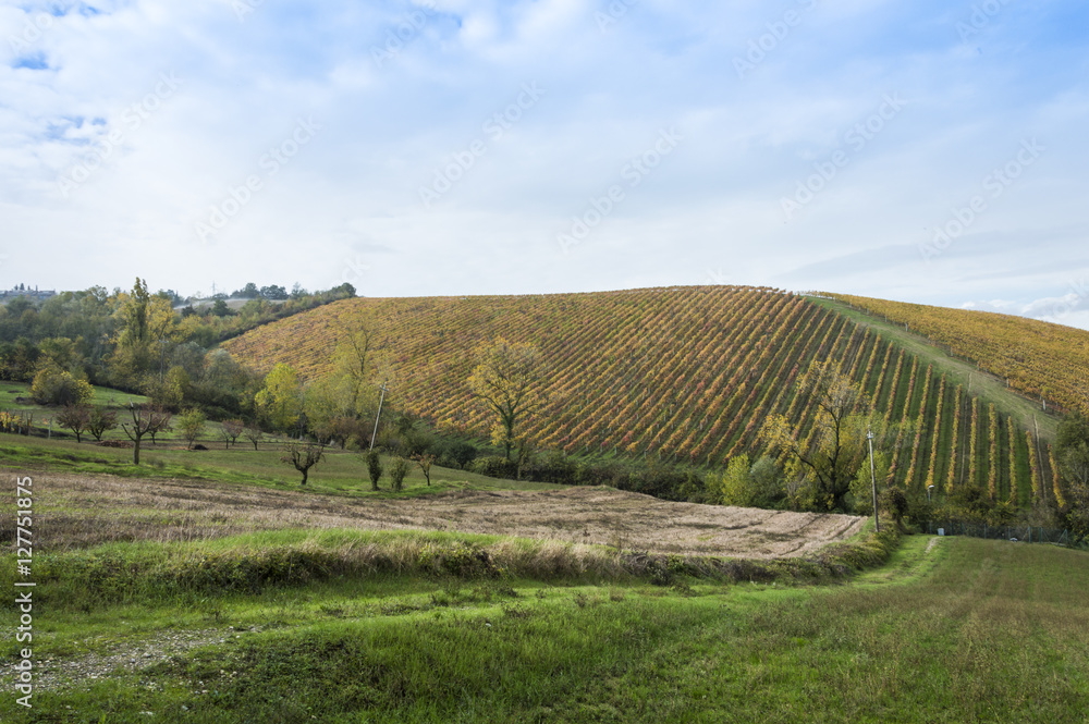 Countryside landscape during fall season in rural Italy