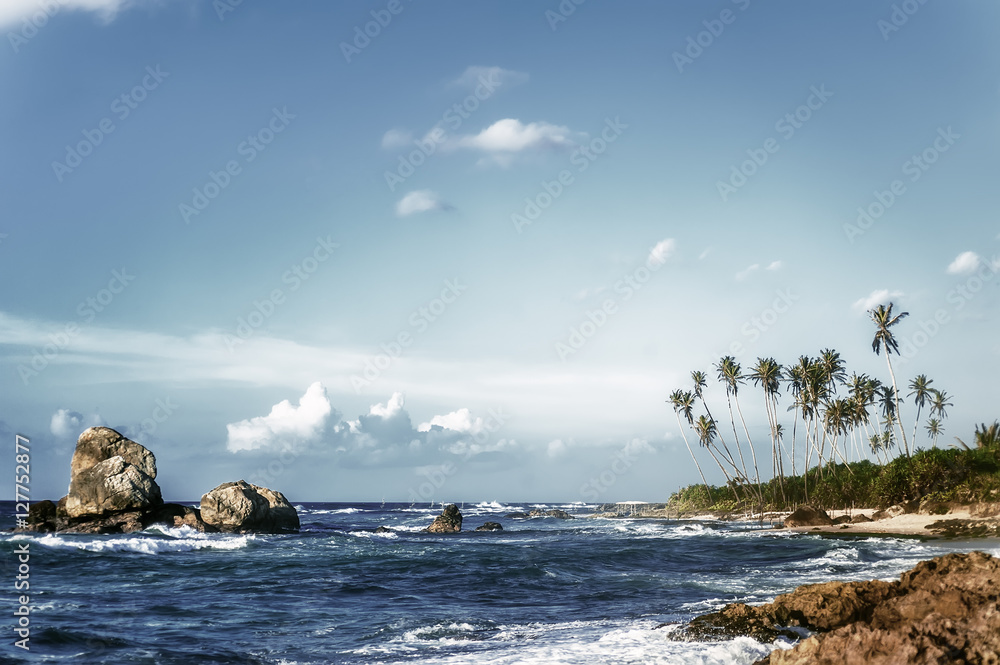 beautiful exotic ocean beach with palms, rocks and blue cloudy sky on horizon. vintage picture