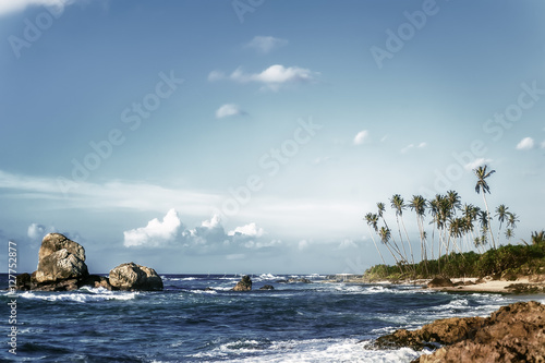 beautiful exotic ocean beach with palms, rocks and blue cloudy sky on horizon. vintage picture