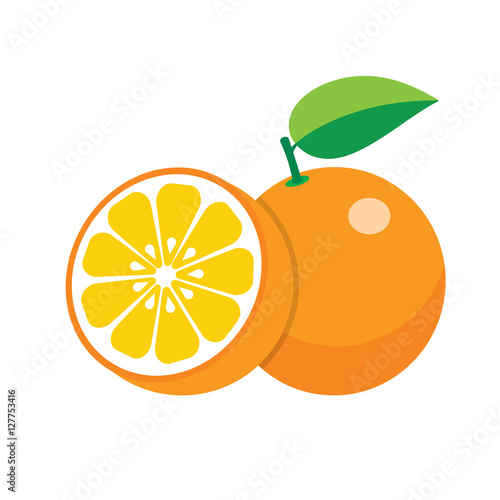 oranges on white background