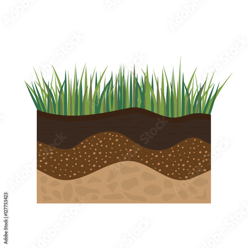 soil profile with grass