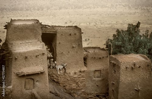Tireli, Mali, Africa - January 30, 1992: Dogon village and typical mud buildings