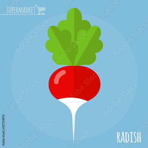 Radish vector icon