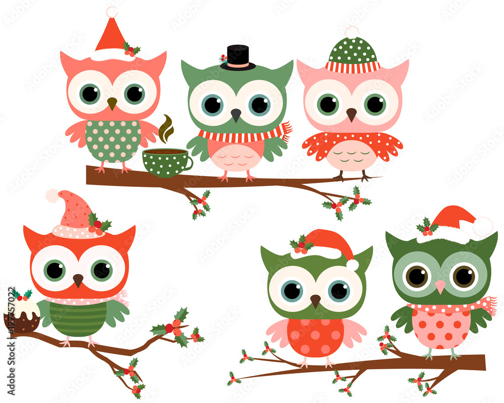 Fototapeta premium Cute Christmas owl characters on tree branches in green and red