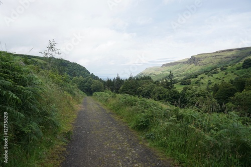 Wald-Landschaft im Glenariff National Park / Nordirland 