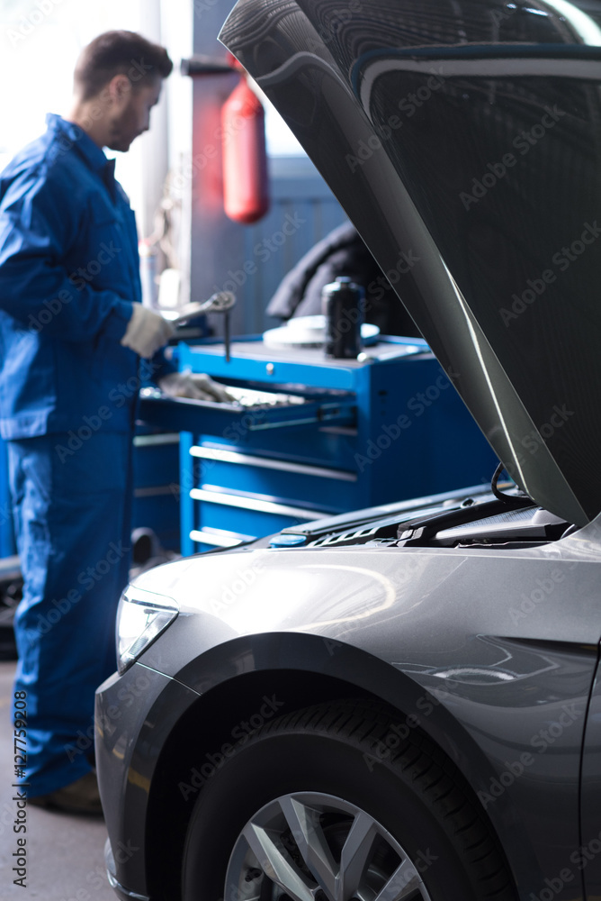 Professional mechanic working in service center. Professional mechanic working in service center.
