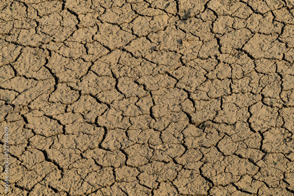Cracked and parched earth in a dried lake bed, Pushkar, Rajasthan, India Cracked and parched earth in a dried lake bed, Pushkar, Rajasthan, India