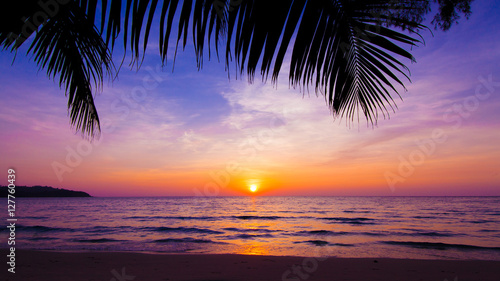 Fototapeta Naklejka Na Ścianę i Meble -  sunset landscape. beach sunset.  palm trees silhouette on sunset