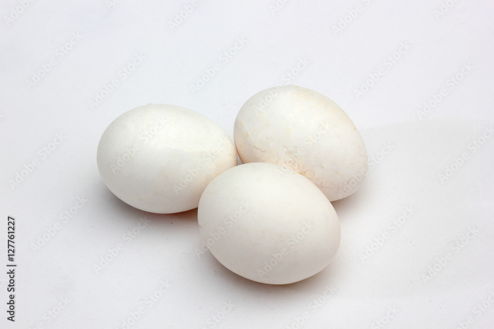 egg egg