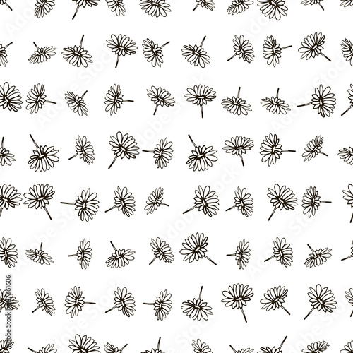 Black and white floral seamless pattern with sketch daisies. Cute background with black grunge chamomiles on white. Seamless hand drawn daisy meadow flowers daisies pattern background. Vector.
