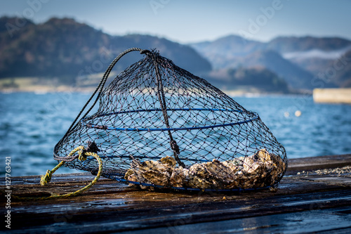 Fotografie Oyster Cultivation Cage in Kumihama bay, Japan.