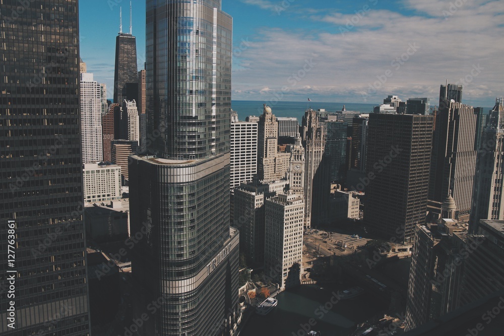 Fototapeta premium Top Dog