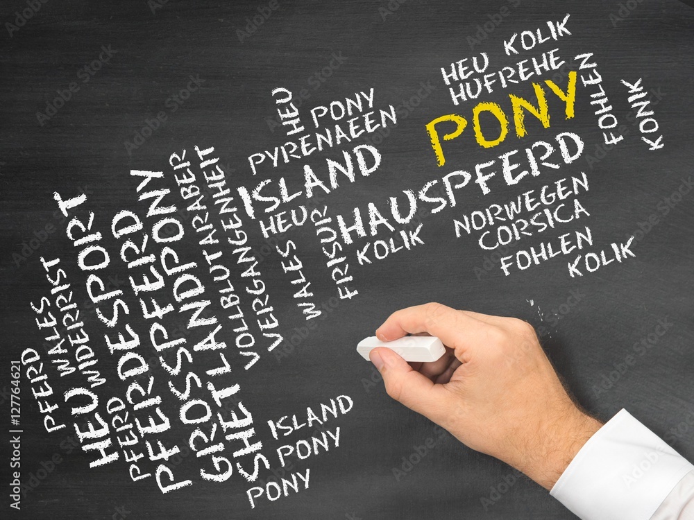 Pony (Pferd) Pony (Pferd)