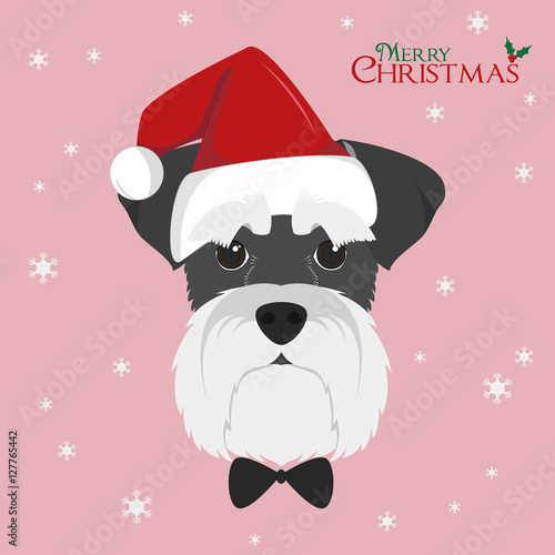 Christmas greeting card. Schnauzer dog with red Santa's hat