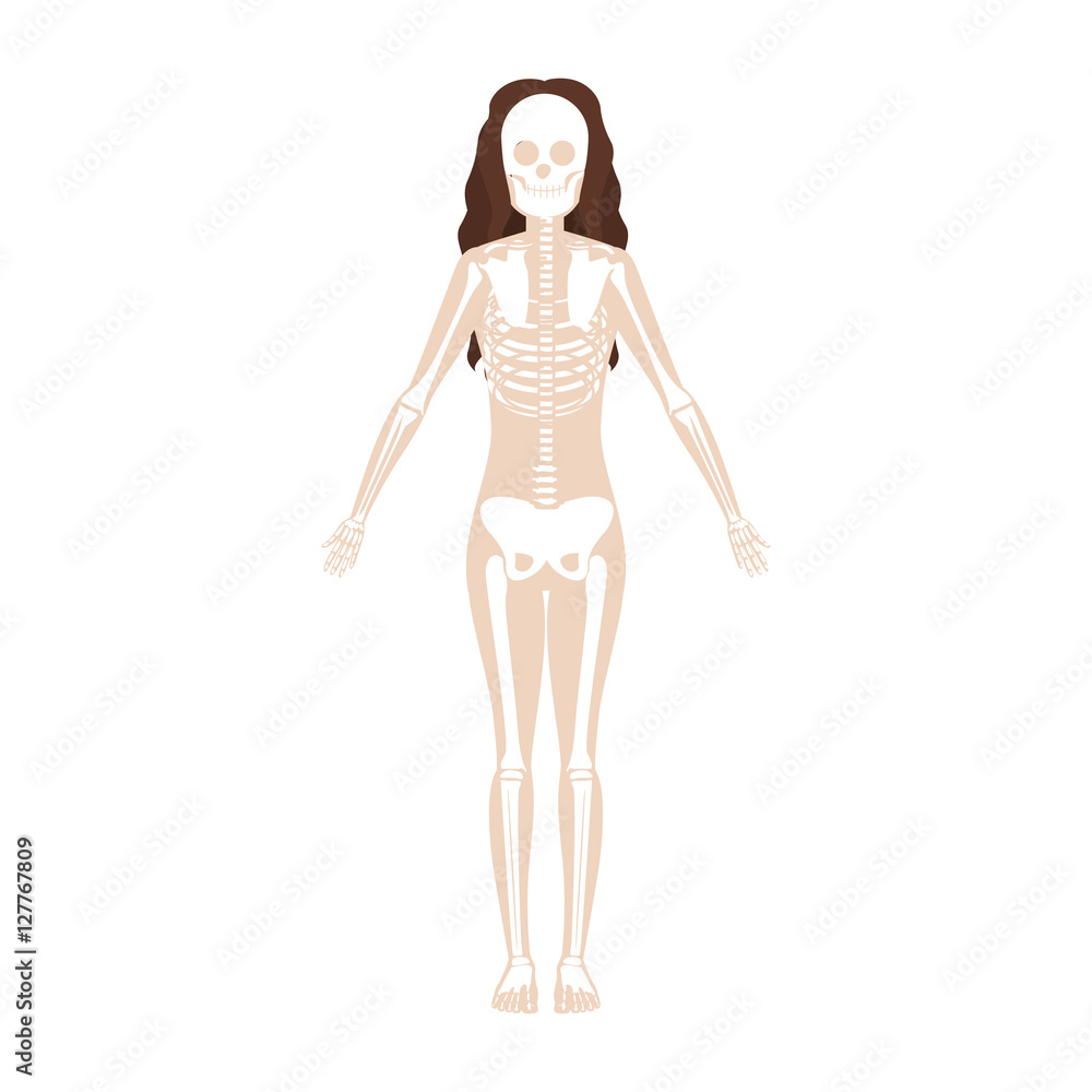 silhouette woman system bone with wavy hair vector illustration silhouette woman system bone with wavy hair vector illustration