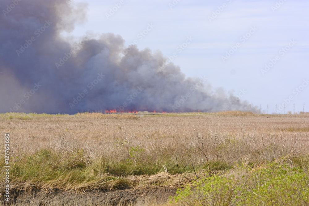 Flames in a Wildfire in the Bayou