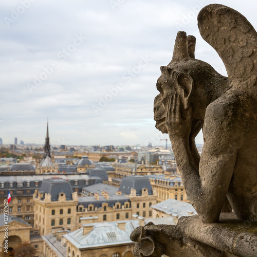 gargoyle of the Notre Dame in Paris