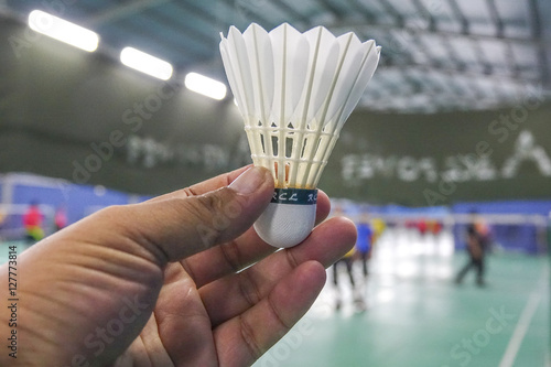 Shuttlecock and badminton court.