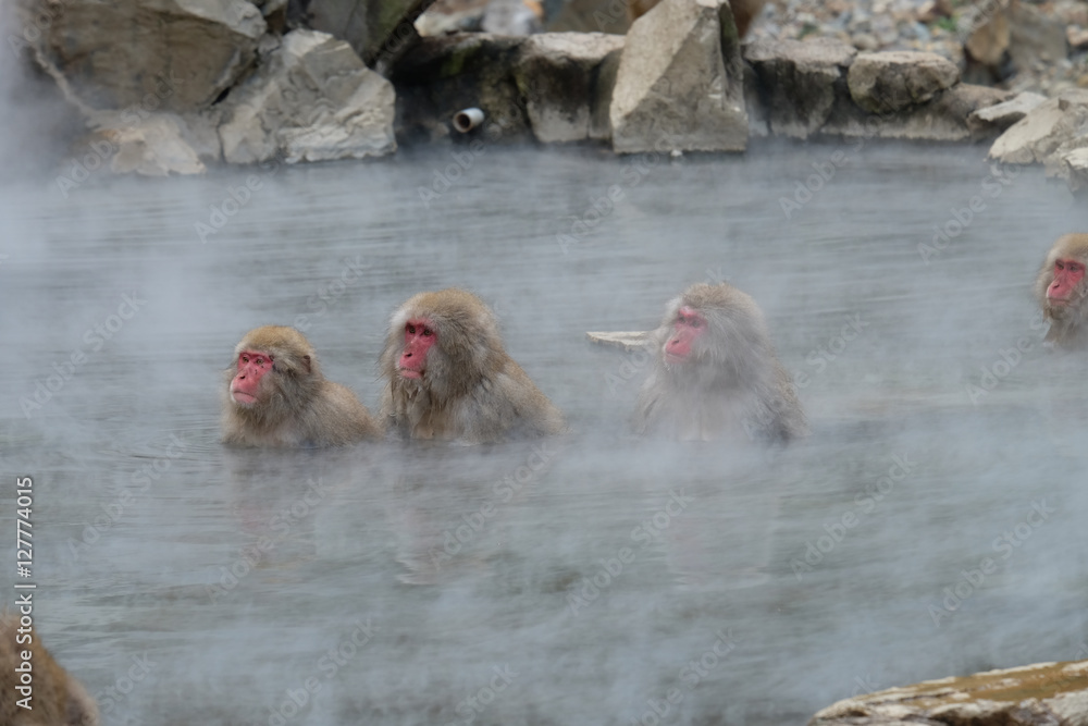 Naklejka premium 地獄谷