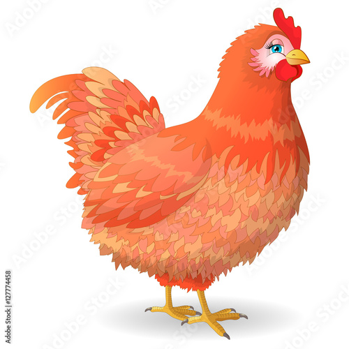 Red hen with blue eyes.
Vector illustration.