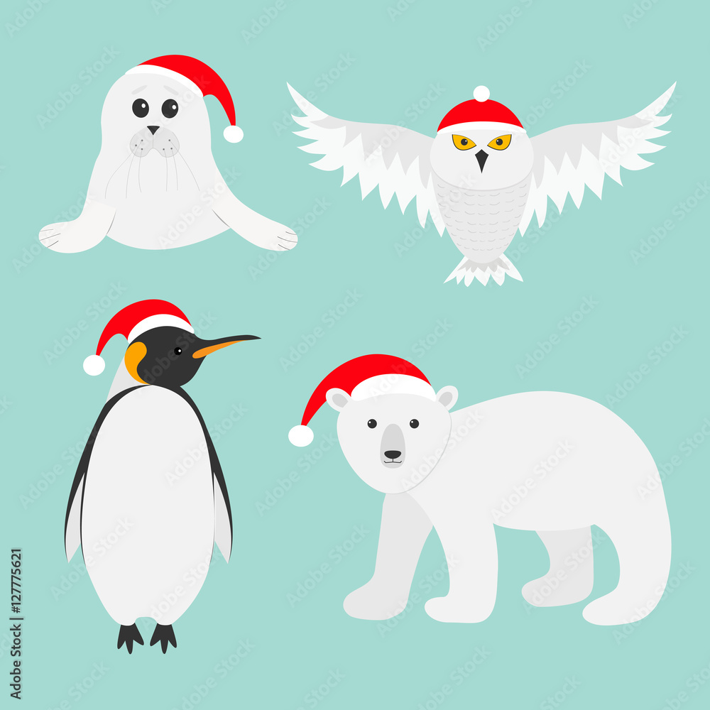 Naklejka premium Arctic polar animal set. White bear, owl, king penguin Emperor Aptenodytes Patagonicus, Seal pup baby harp in red Santa hat. Merry Christmas card. Winter antarctica blue background Flat design.