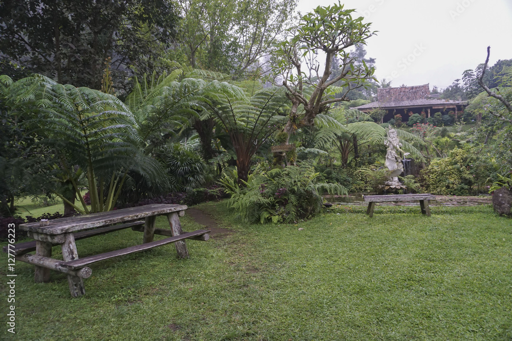 Beautiful green garden in Indonesia. Beautiful green garden in Indonesia.