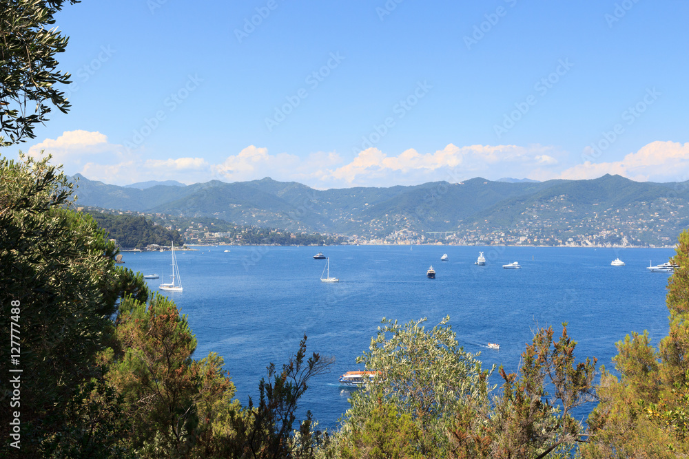Mediterranean Sea and Liguria coast near Portofino, Italy