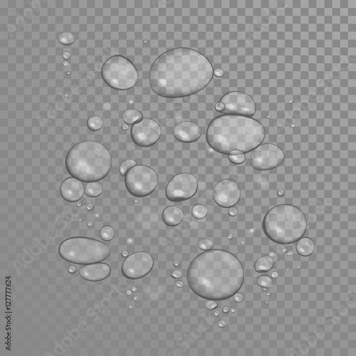 Air bubbles in water. Oil drops on transparent background