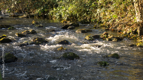 Flusslauf mit Steinen