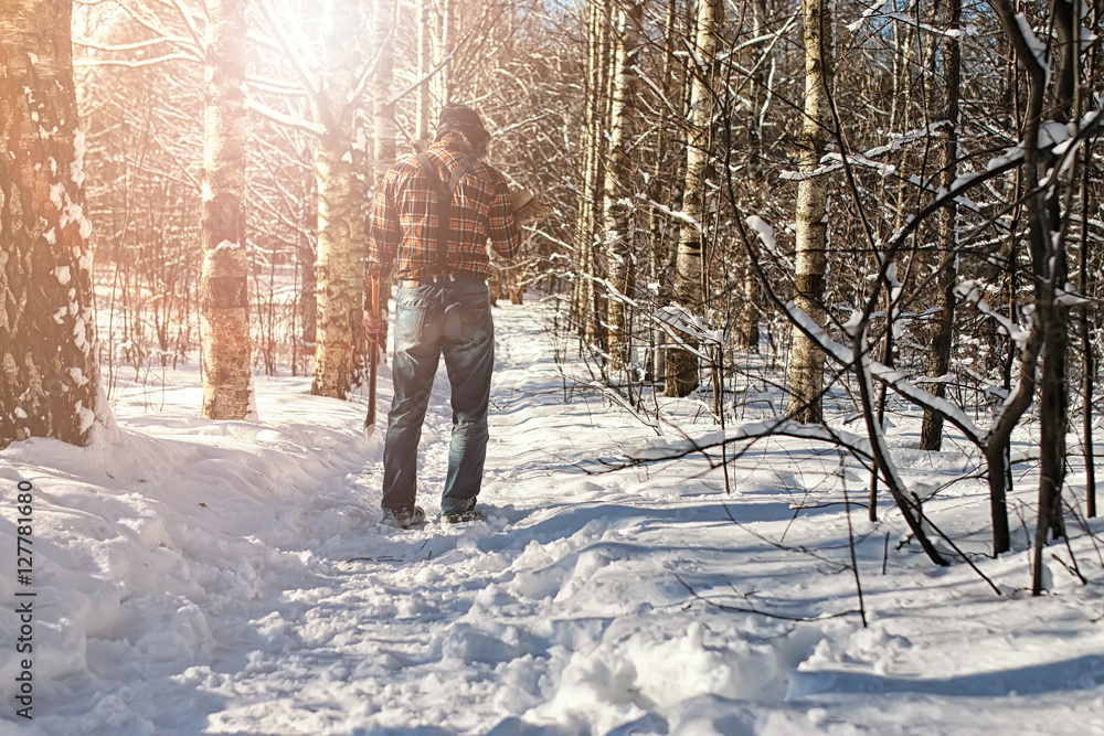 birch winter forest man with axe birch winter forest man with axe