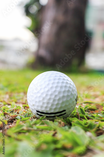 colse up of the golf ball on grass. over light and retro tone [blur and select focus background]