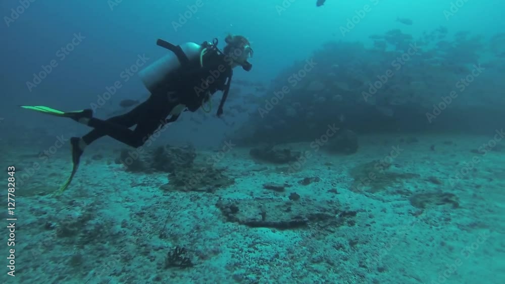 Divers swim underwater with aqualungs. Deepness. Colony of fish. Coral reef. Scubadiving Divers swim underwater with aqualungs. Deepness. Colony of fish. Coral reef. Scubadiving