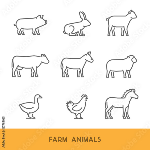 Vector line farm animals isolated on white background