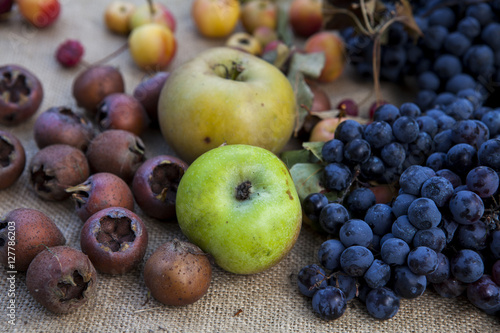 Fototapeta Naklejka Na Ścianę i Meble -  frutta d'autunno con mele e uva e nespole