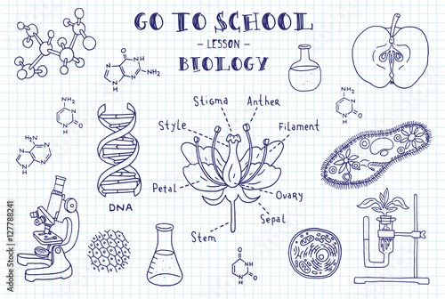 Biology. Hand sketches on the theme of biology. Note book page paper. Vector illustration.