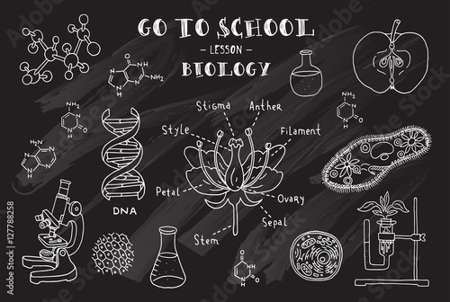 Biology. Hand sketches on the theme of biology. Vector illustration. Chalkboard.