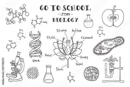 Biology. Hand sketches on the theme of biology. Vector illustration.