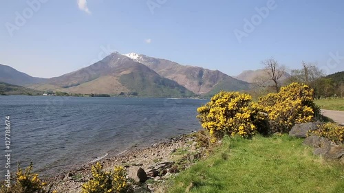 Loch Leven Lochaber Geopark Scotland uk view to Glen coe with snow toped mountains and yellow flowers and just off B863 south of Ben Nevis 