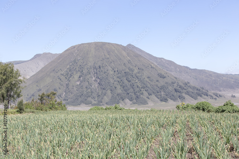 Fototapeta premium General landscape around Mt Bromo, Indonesia