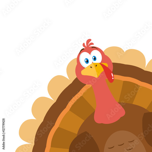 Thanksgiving Turkey Bird Cartoon Mascot Character Peeking From A Corner. Illustration Flat Design Isolated On White Background