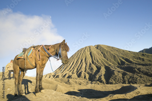 Landscape Man ride a horse go to Bromo volcano while eruption, Java, Indonesia,soft focus and motion blur photo