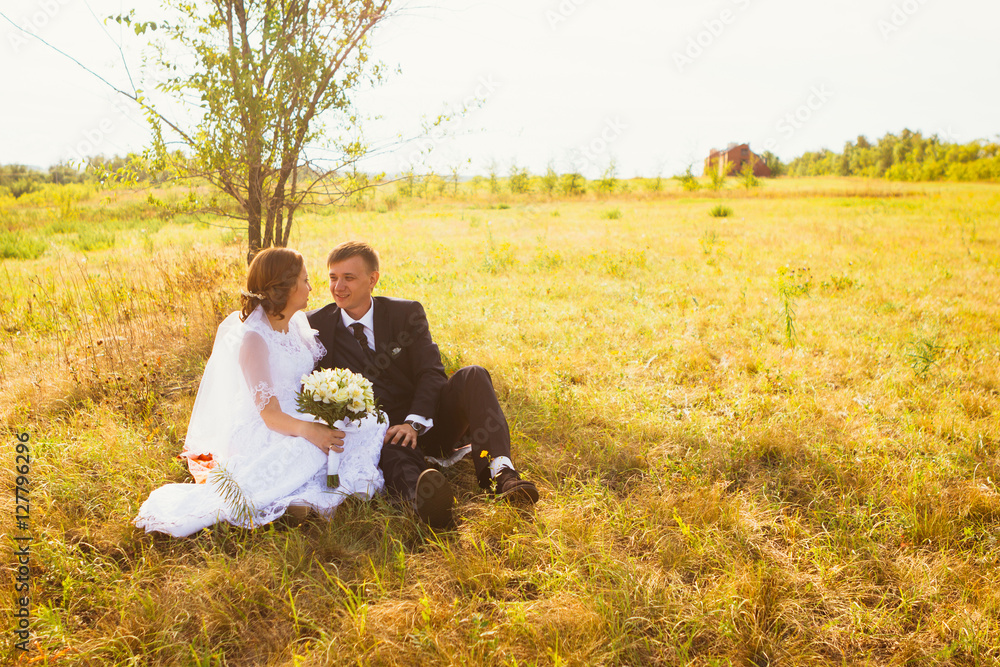 couple bride and groom on field background couple bride and groom on field background