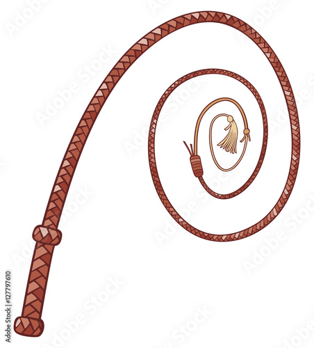 braided leather whip
