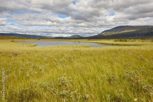 Norway landscape. Dovrefjell-Sunndalsfjella National Park. Fokst photo